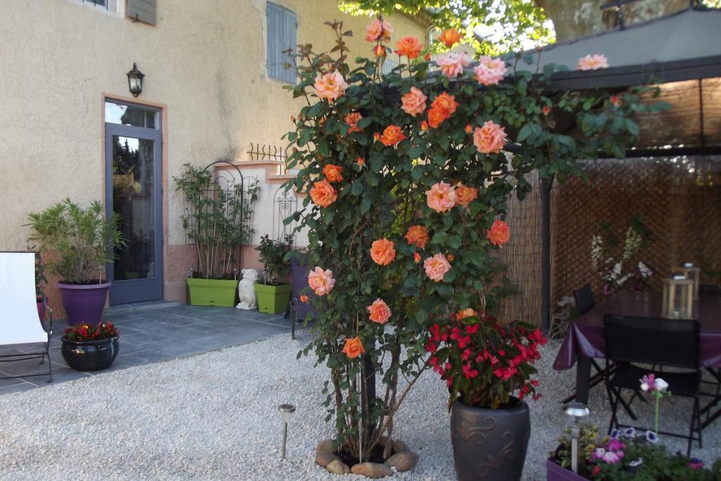 Mas De La Coucourde Bed & Breakfast Paluds de Noves Exterior photo