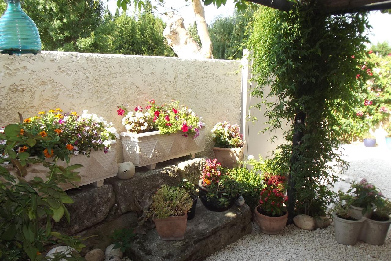Mas De La Coucourde Bed & Breakfast Paluds de Noves Exterior photo